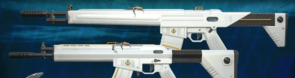 Riot Games neglects the Guardian the most: it has been over 700 days since the weapon received its last animated skin