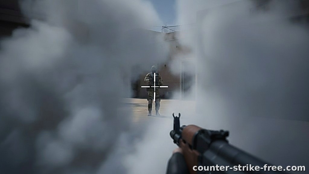 donk CS2