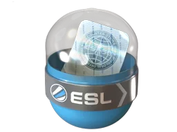 EMS Katowice 2014 Challengers