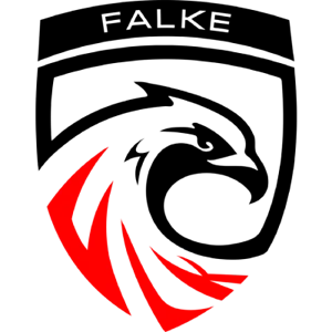 FALKE ESPORTS