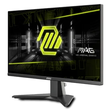 MSI MAG 255XFV