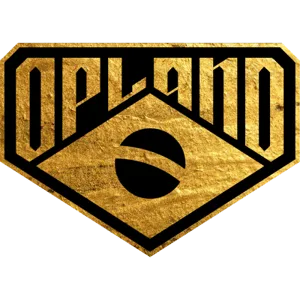 O PLANO