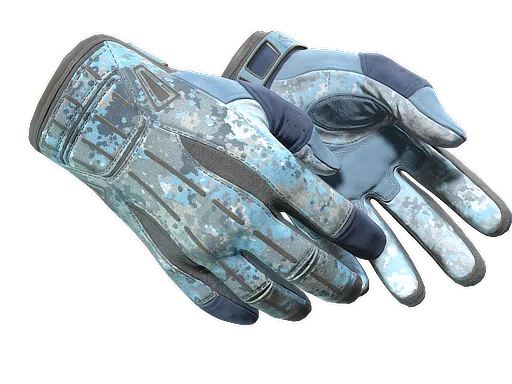 ★ Sport Gloves | Frosty