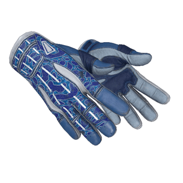 ★ Sport Gloves | Amphibious (Field-Tested)
