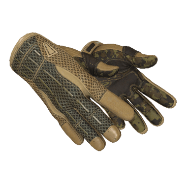 ★ Sport Gloves | Arid (Field-Tested)